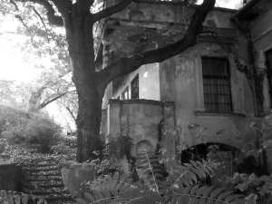 old-house-2-bw